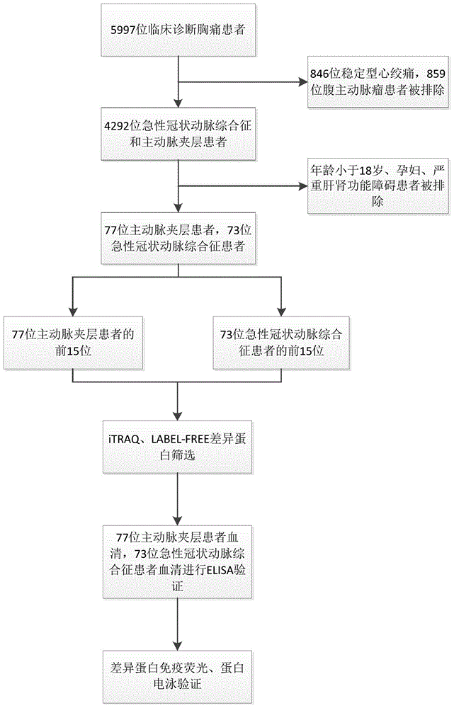 主动脉夹层诊断标志物及其应用的制作方法