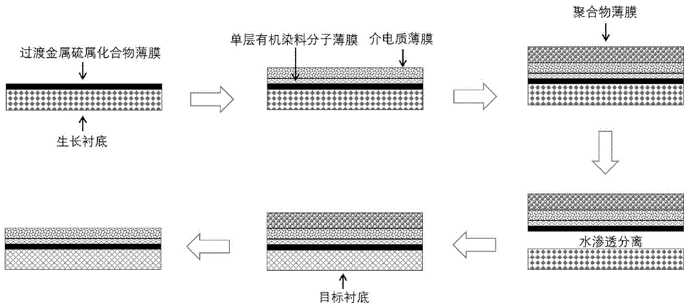 一种二维过渡金属硫属化合物薄膜大面积转移的方法及其应用与流程