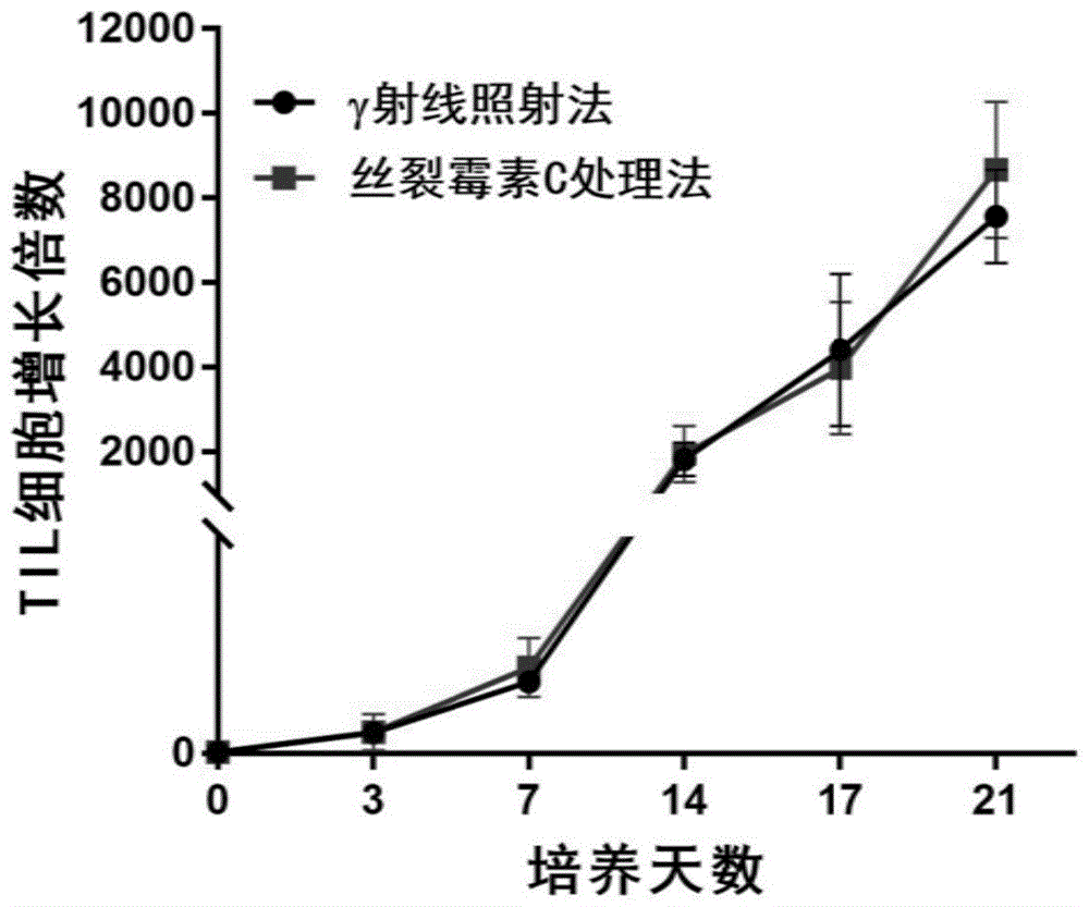 用于肿瘤浸润性淋巴细胞快速培养的饲养细胞的制备方法与流程