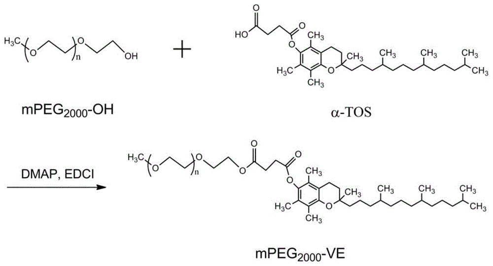 一种包含tbFGF的新材料及其用途的制作方法