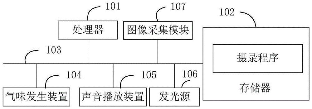 基于摄录系统的动物摄录方法、摄录系统和可读存储介质与流程