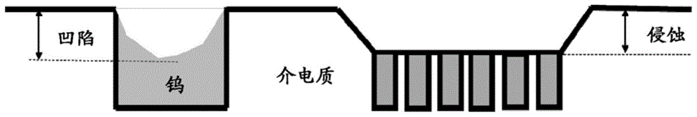 用于减少的氧化物侵蚀的钨化学机械抛光的制作方法