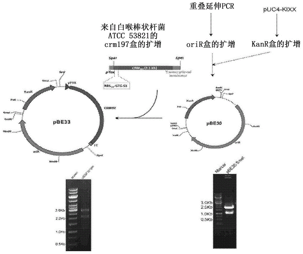 用于高水平生产CRM的改进方法与流程