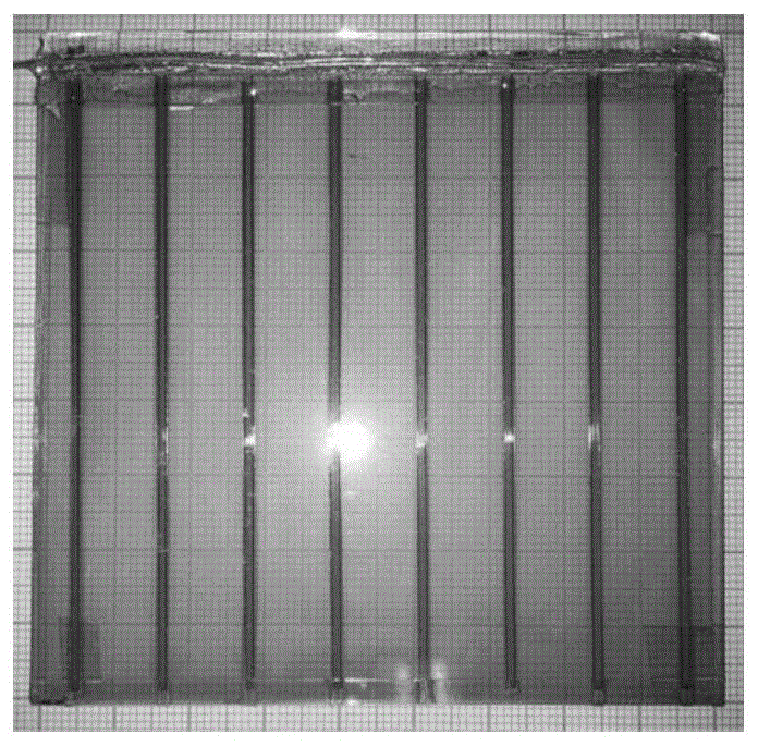 一种制备具有图案化金属电极的大面积光电极的方法与流程