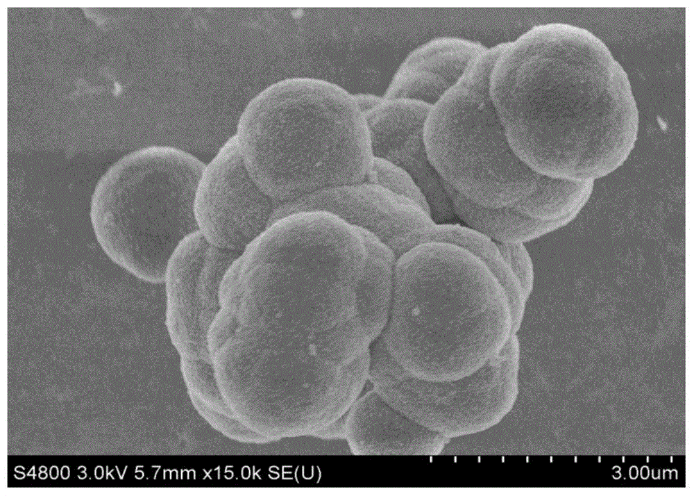 一种绒球状SnS2锂离子电池负极材料的制备方法与流程