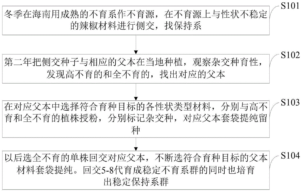 一种辣椒不育系的群集选育方法与流程