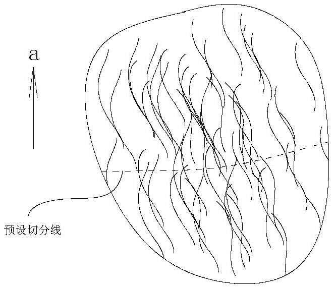 茯苓夹持机械的制作方法