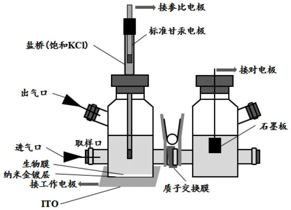 一种厌氧三电极装置及其使用方法与流程