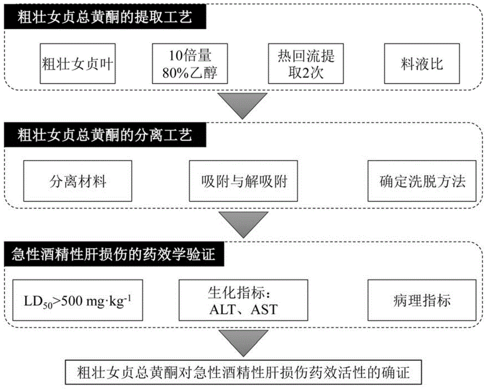 粗壮女贞总黄酮、制备方法和应用与流程