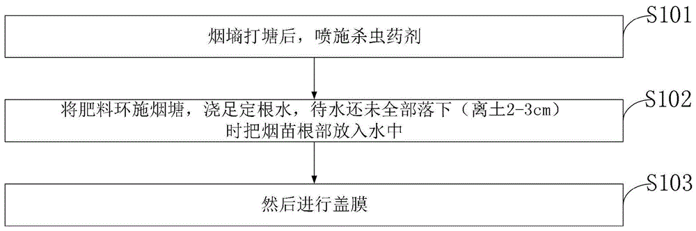 一种烤烟膜下小苗抛苗移栽方法与流程