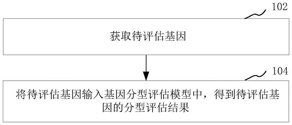 一种用于PGT-M检测的基因分型评估模型的构建方法及装置与流程