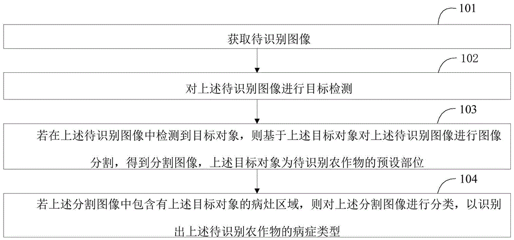 一种病症识别方法、病症识别装置及终端设备与流程