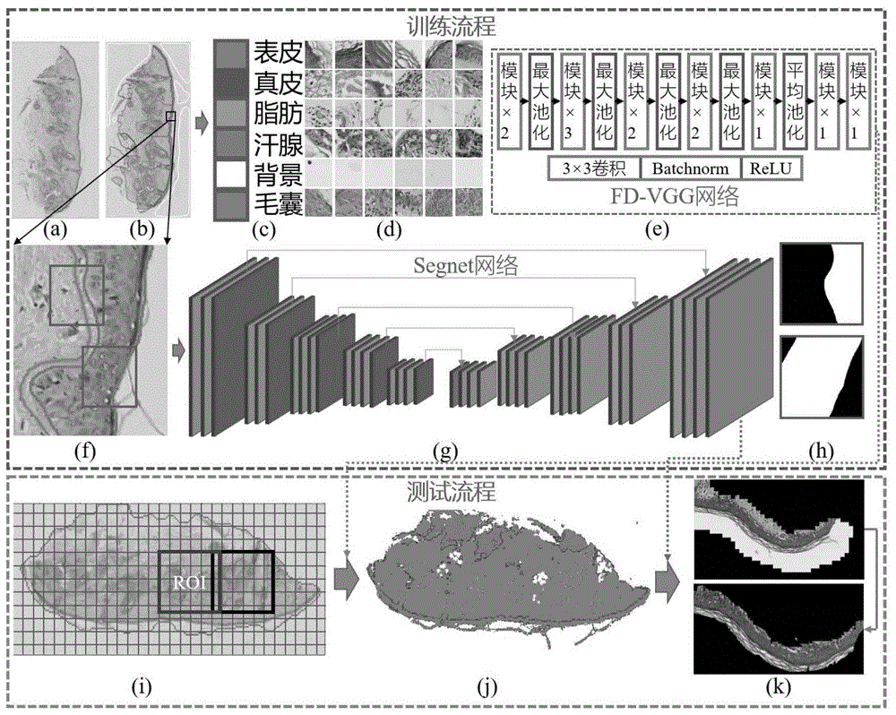 一种皮肤病理图像多种组织自动分割方法与流程