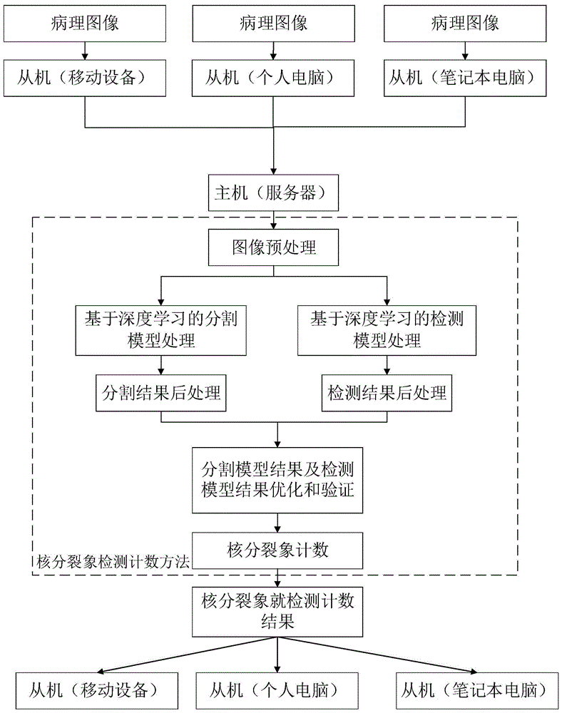 基于深度学习的胃肠道间质瘤中核分裂象智能检测方法与流程