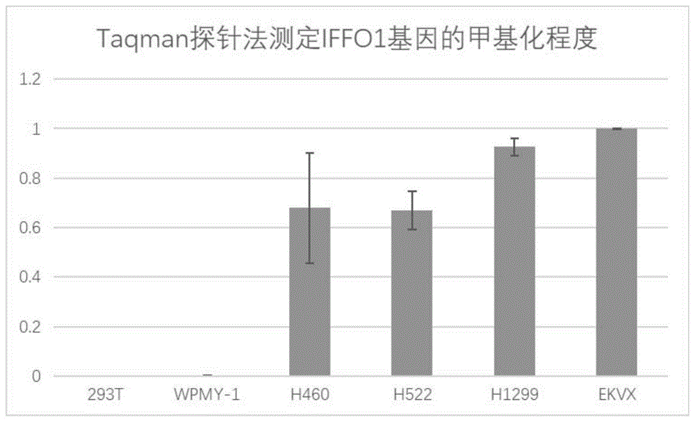 检测IFFO1基因甲基化的物质在诊断肺癌中的应用的制作方法