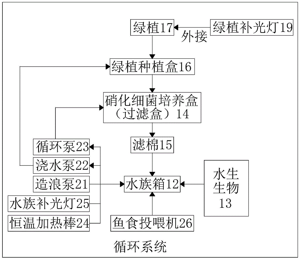 一种免换水自循环式花鱼共赏生态系统的制作方法