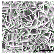 一种采用电沉积法制备三维花状碲化锌纳米材料的方法与流程