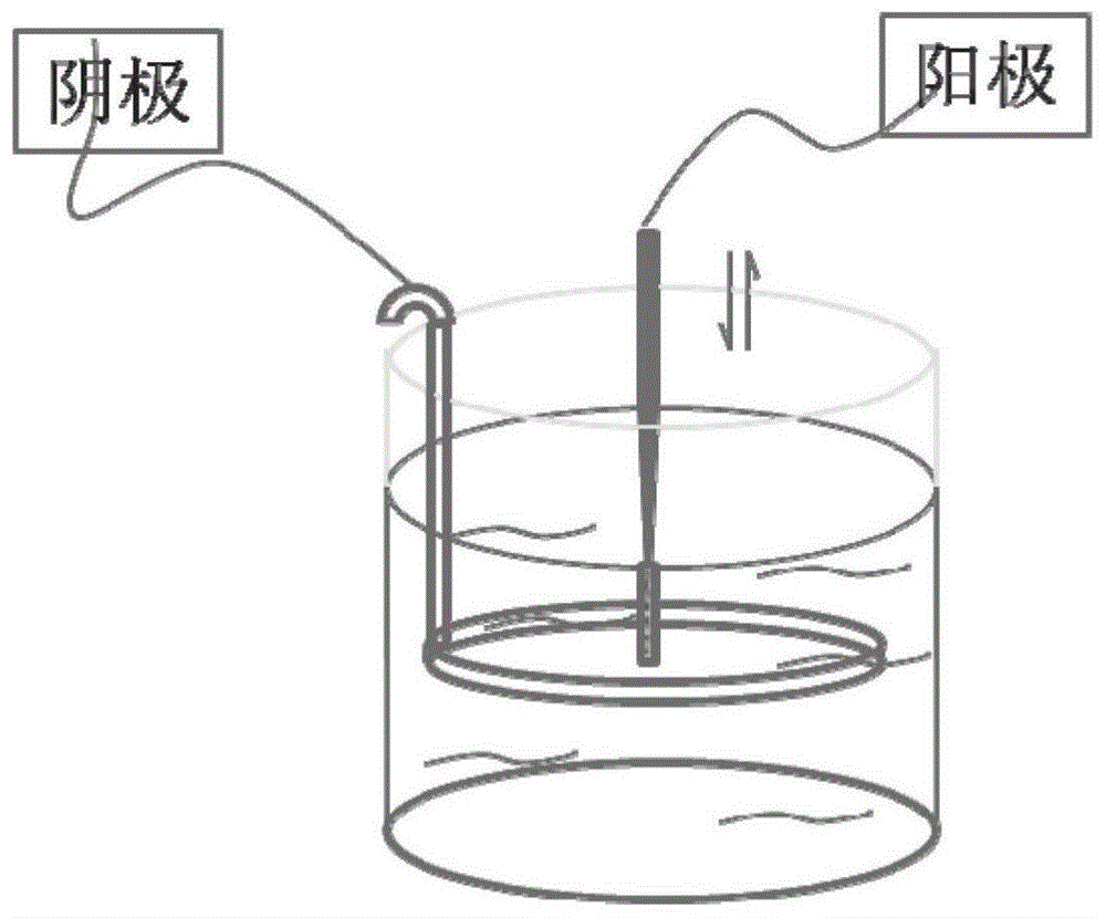 小口径管网状金属样件的表面修饰方法与流程