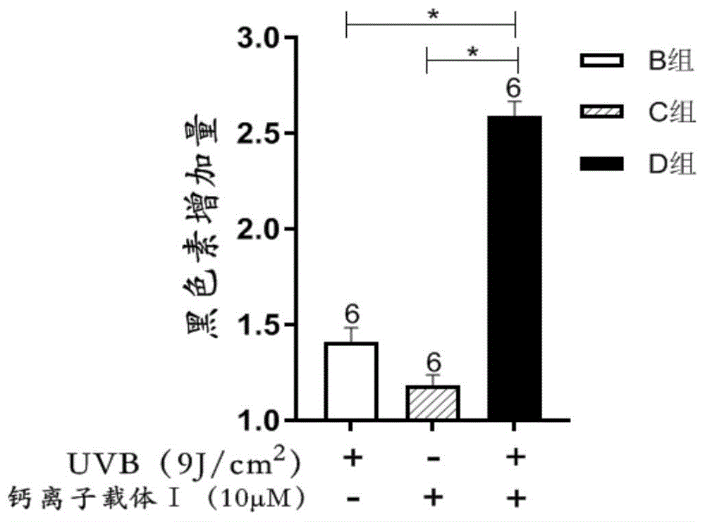 钙离子载体在白癜风治疗中的应用的制作方法