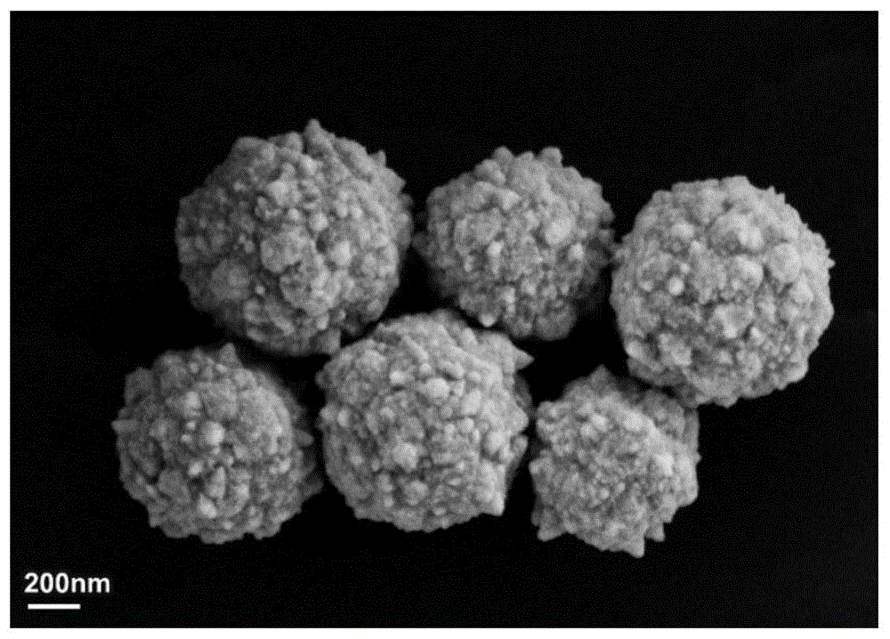 一种树莓状金纳米颗粒的制备方法与流程