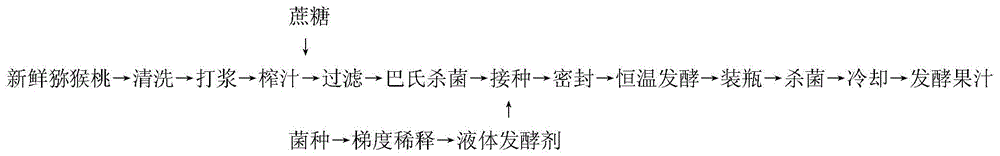 改善膳食纤维结构的益生菌发酵猕猴桃果汁及其制作方法与流程