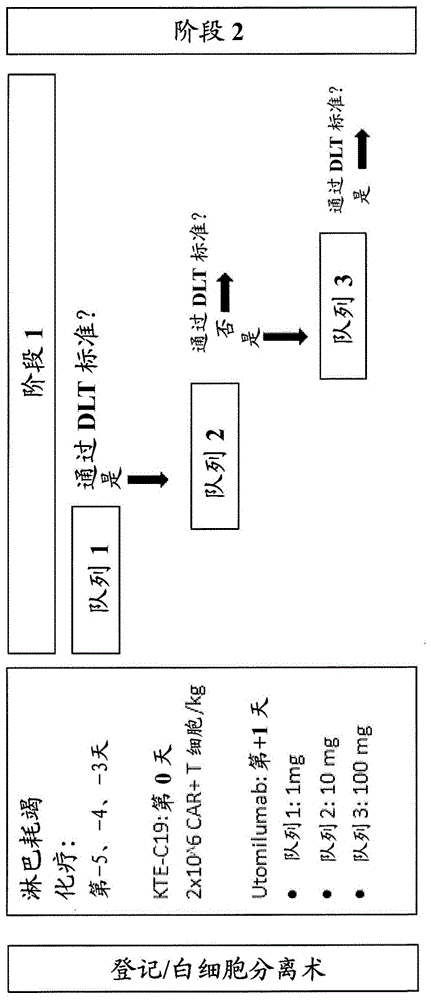 组合施用嵌合抗原受体免疫疗法与4-1BB激动剂的方法与流程