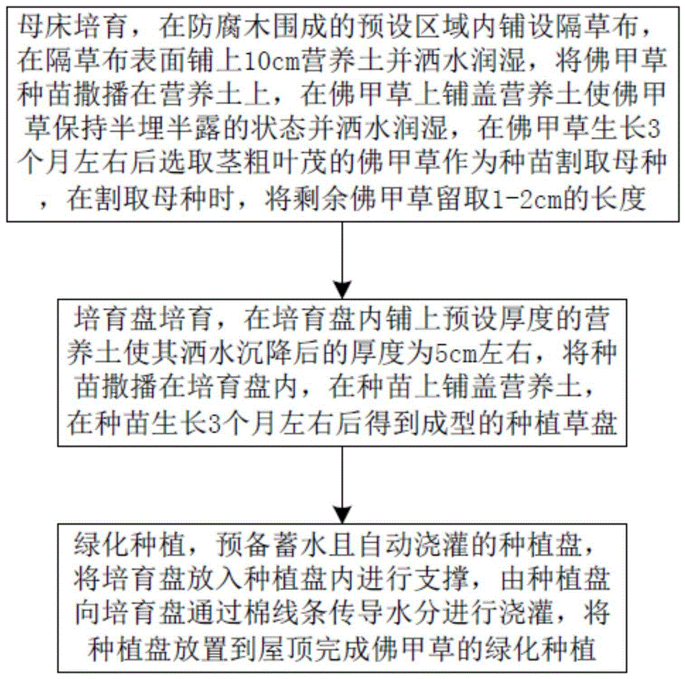 用于屋顶绿化的佛甲草种植方法与流程