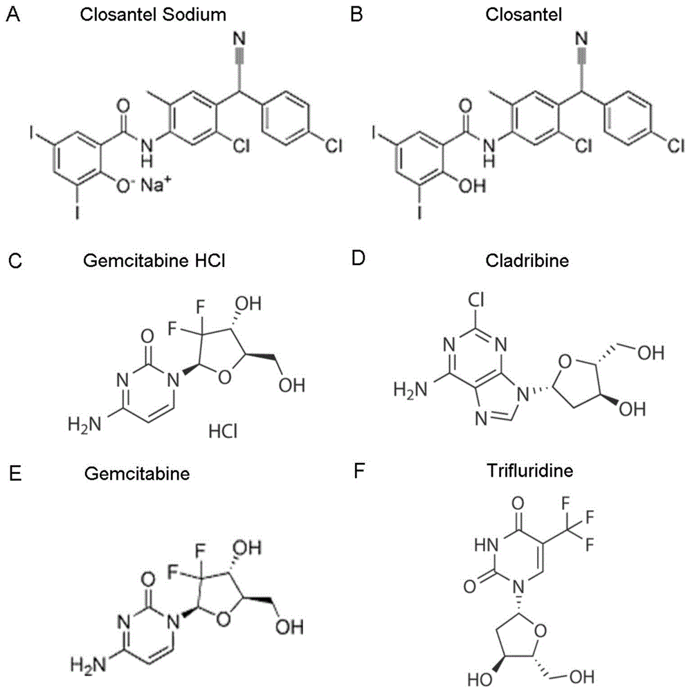 6种小分子药物在抑制犬细小病毒中的应用的制作方法