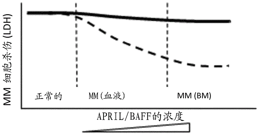 用于选择针对BCMA的抗体的方法与流程