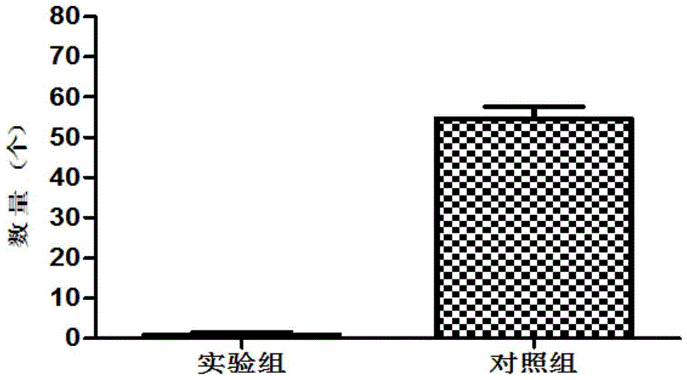 一种用于腋下的长效膜剂及其制备方法与流程