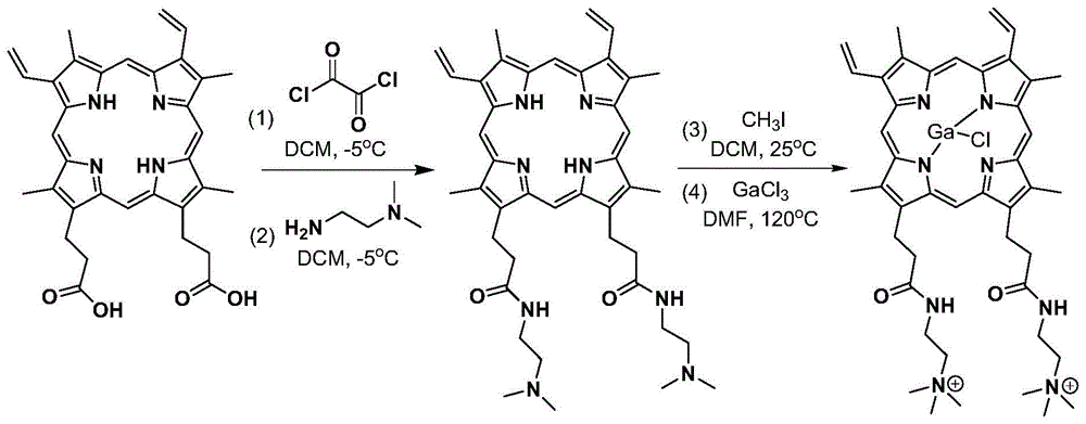 离子修饰的原卟啉镓化合物及其制备方法和应用与流程