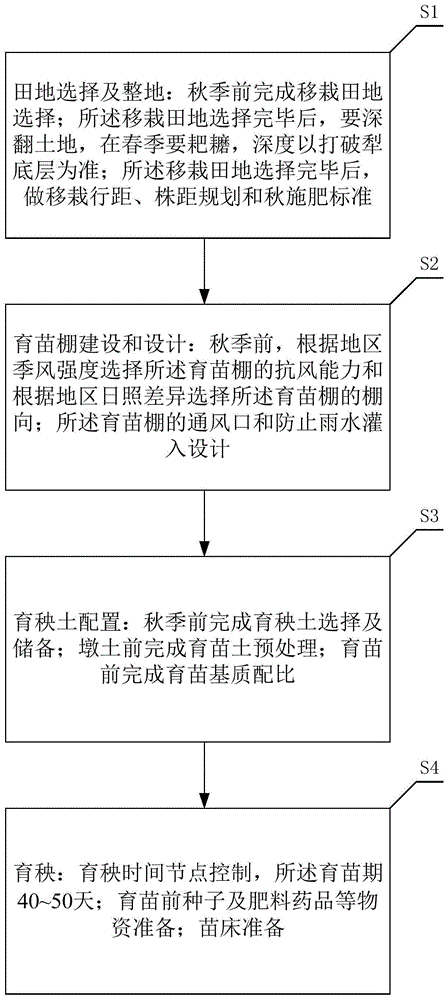 一种寒冷地区甜菜苗育秧方法与流程