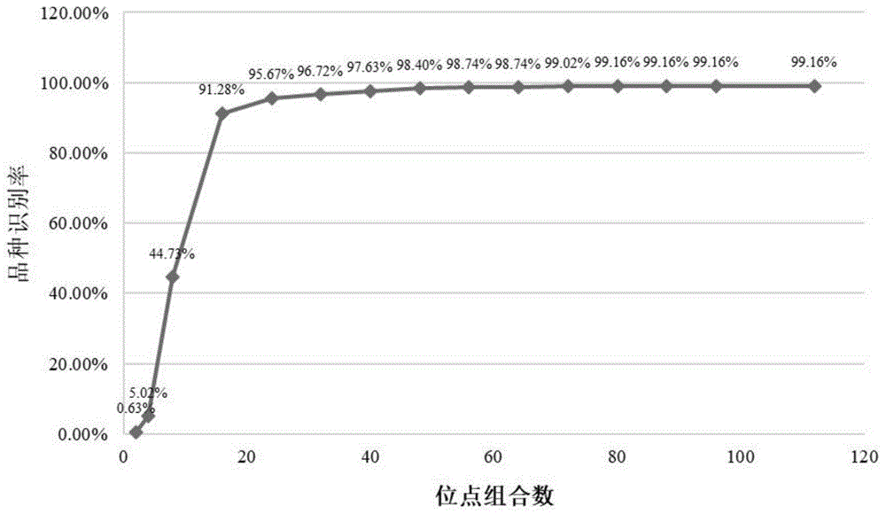 用于普通小麦常规种品种纯度鉴定的特异性SNP位点组合以及鉴定方法与流程