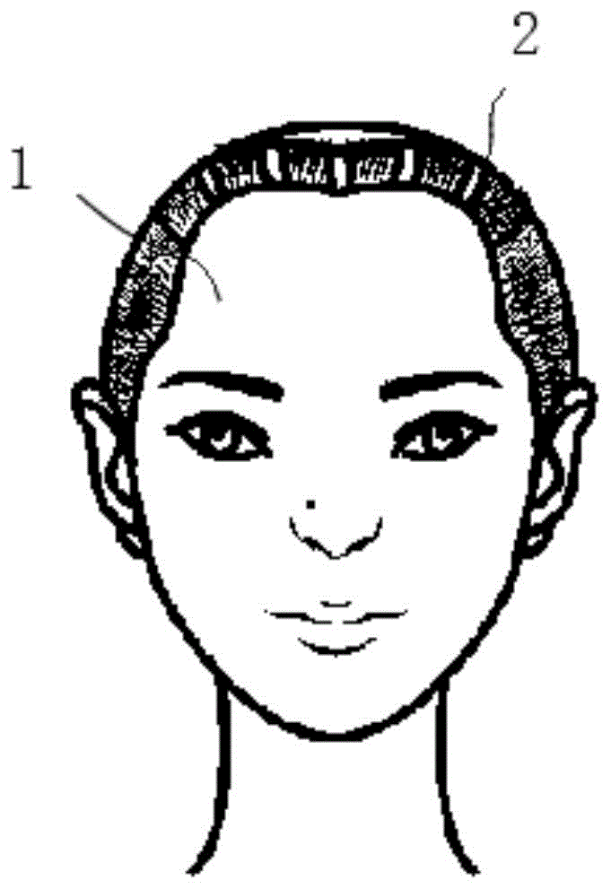 人体头面部毛发综合展示模型的制作方法