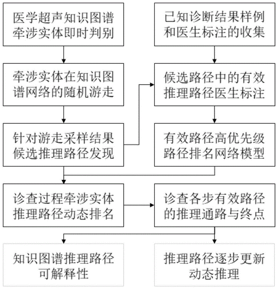 医学超声诊查过程的动态可解释推理辅助诊断方法与流程