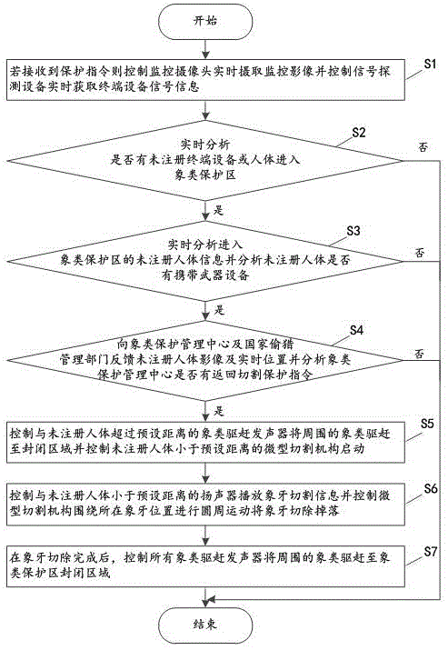 一种基于人体信息识别的智能象类动物防护方法及其系统与流程