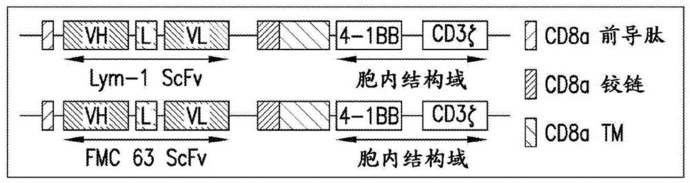 穿透血脑屏障的方法与流程