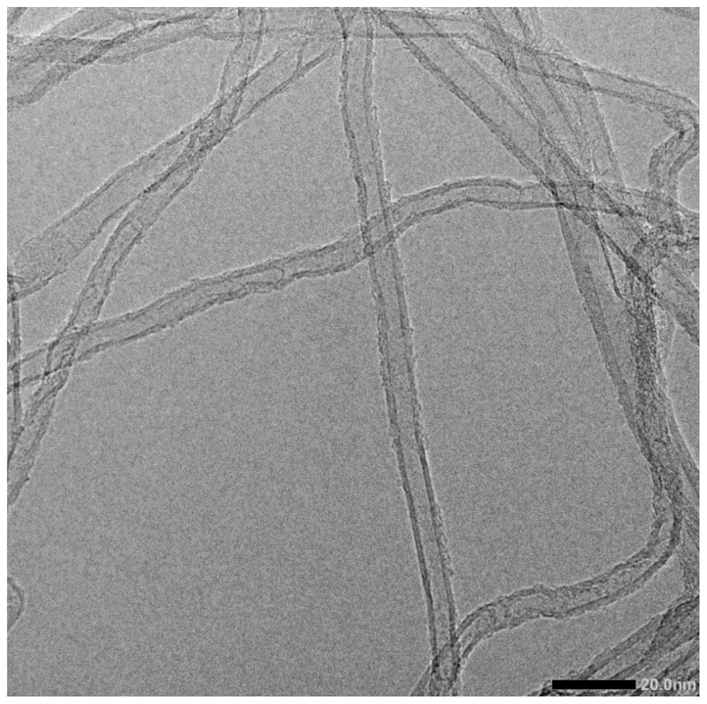 阵列型碳纳米管及其制备方法与流程