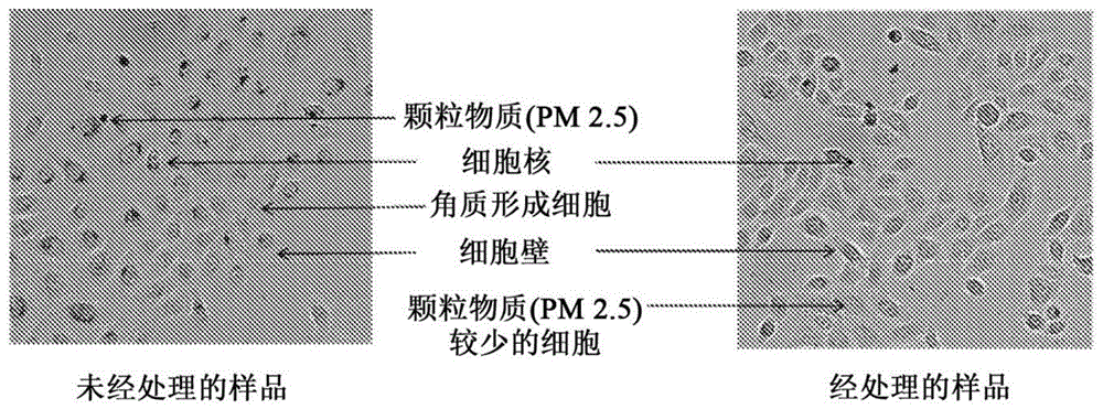 局部用组合物的制作方法