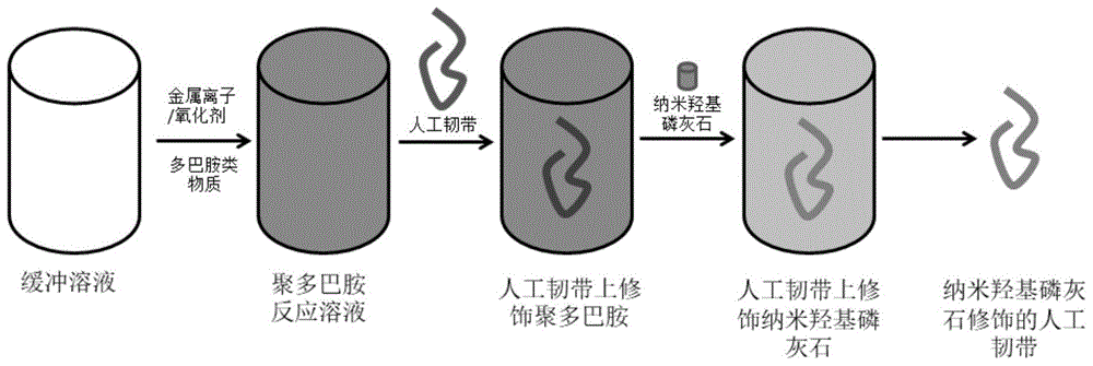 一种纳米羟基磷灰石修饰的人工韧带及其修饰方法与流程