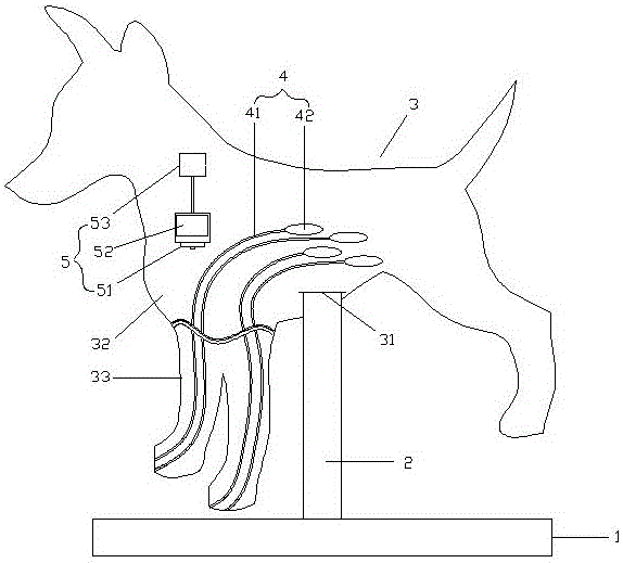 一种动物血管穿刺训练模型的制作方法