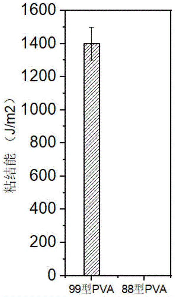 一种高粘附性的水凝胶涂层的制备方法和应用与流程