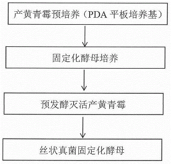 一种丝状真菌固定化酵母的制备方法及其应用与流程