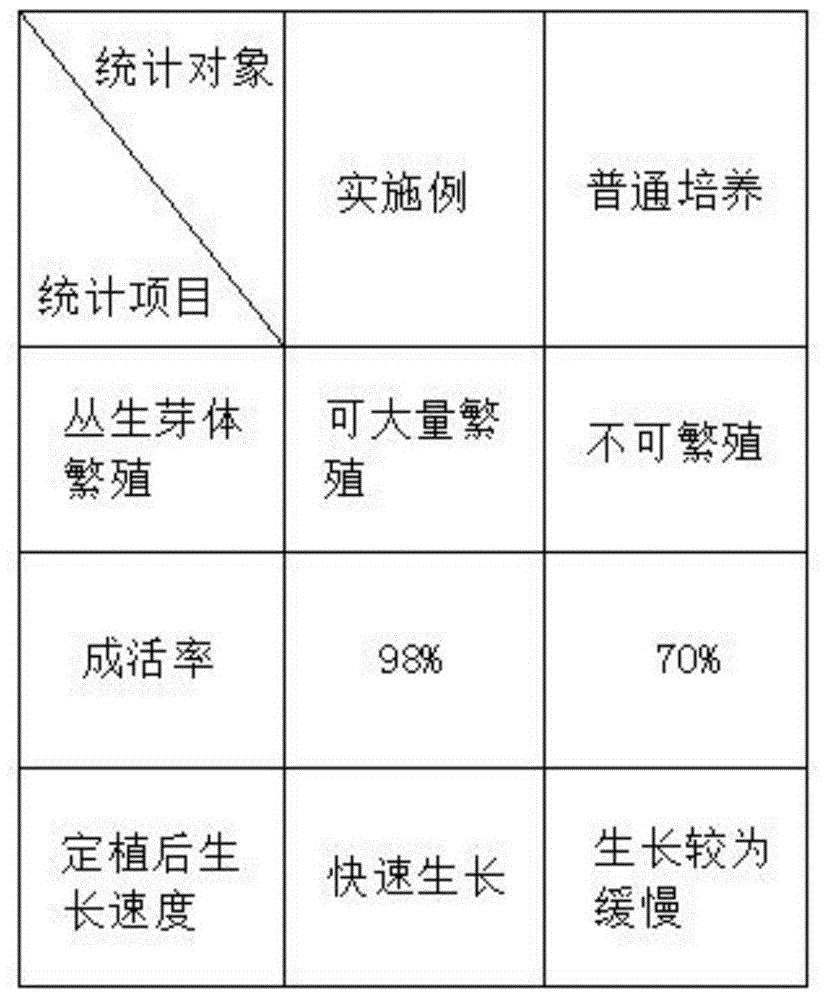 一种凤梨花组织培养方法与流程