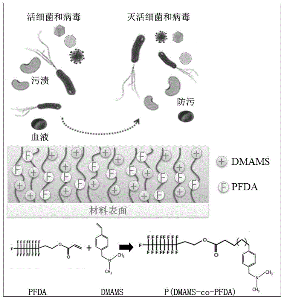 一种化学气相沉积法制备疏水抗菌抗病毒高分子涂层的方法及应用与流程