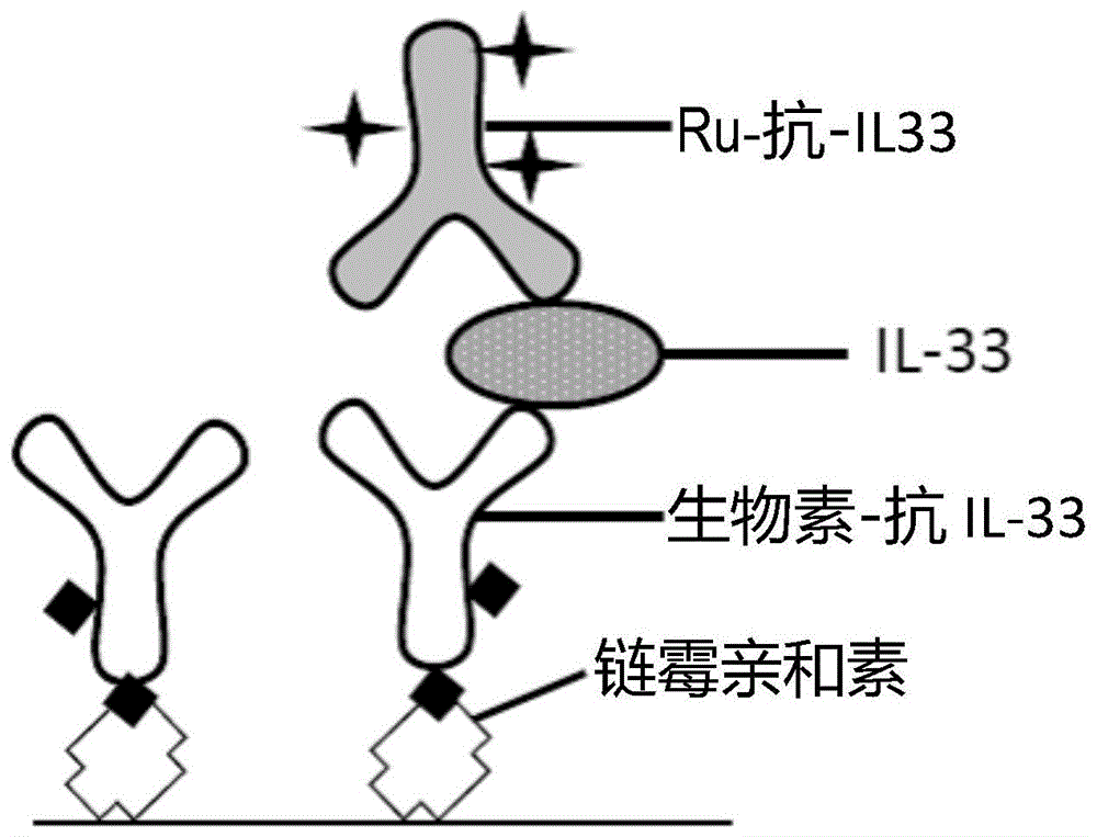 定量IL-33的方法和组合物与流程