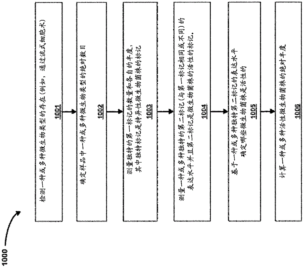 通过施用微生物或其纯化菌株的合成生物集合体来提高禽类产量的制作方法