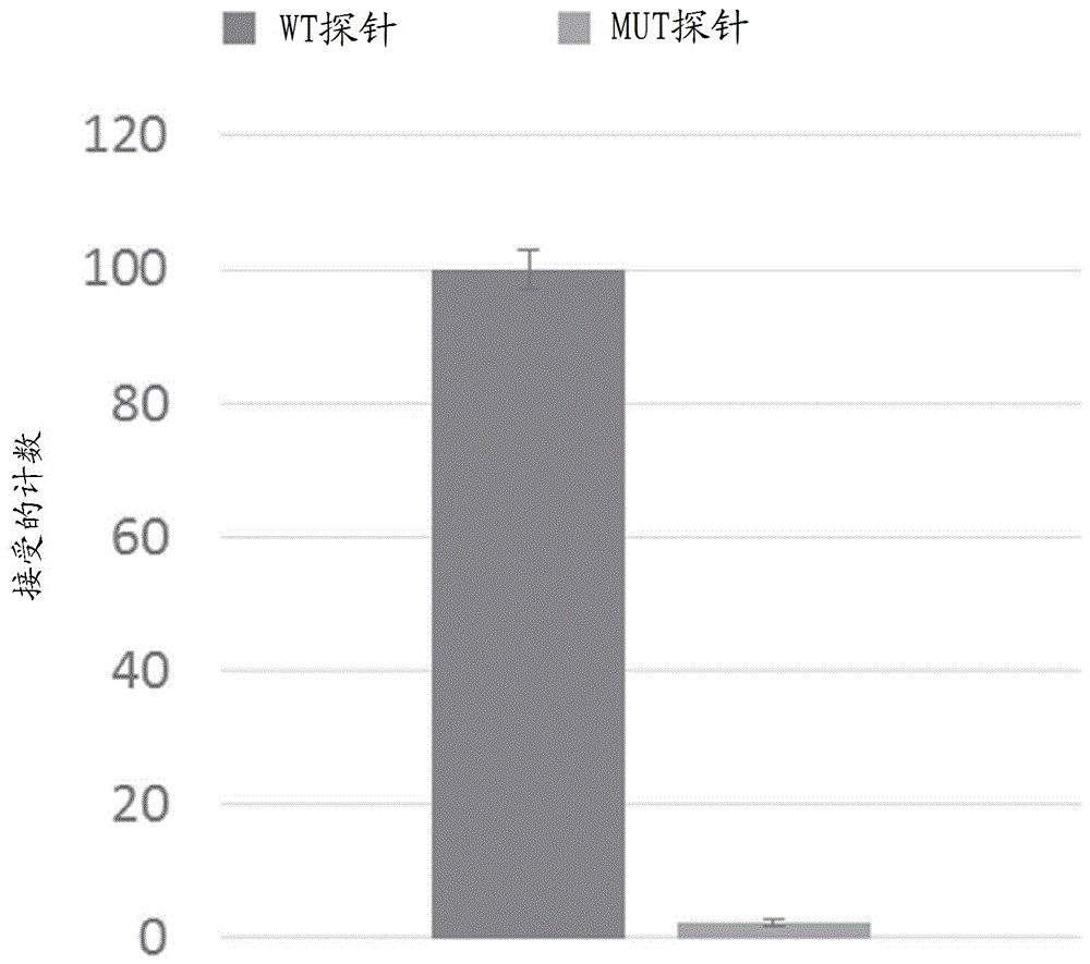 分析物的浓缩的制作方法