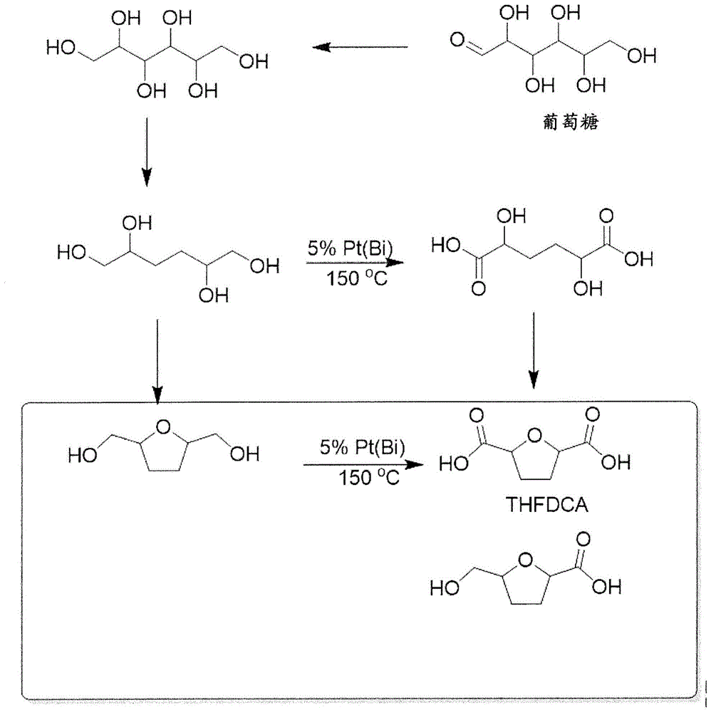 1,2,5,6-四羟基己烷(HTO)到四氢呋喃二甲酸(THFDCA)的转化的制作方法