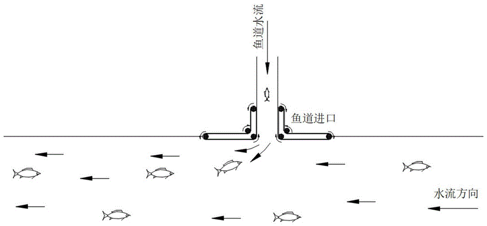 一种考虑鱼类视觉运动反应的鱼道进口诱鱼方法与流程